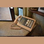 DSC_7134.JPG   103.1K