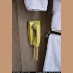 DSC_7137.JPG   52.1K